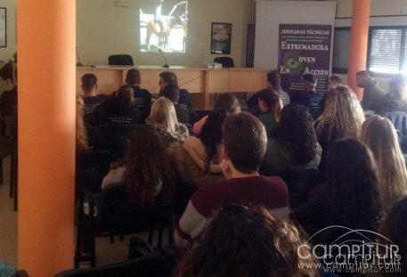 Gran asistencia de público a las Jornadas de Empleo Joven de Azuaga 