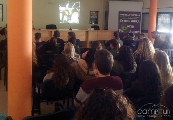 Gran asistencia de público a las Jornadas de Empleo Joven de Azuaga 