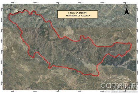 La Montería Sierra de Azuaga congregó a más de 500 personas 