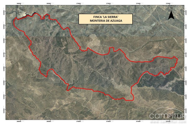 La Montería Sierra de Azuaga congregó a más de 500 personas 