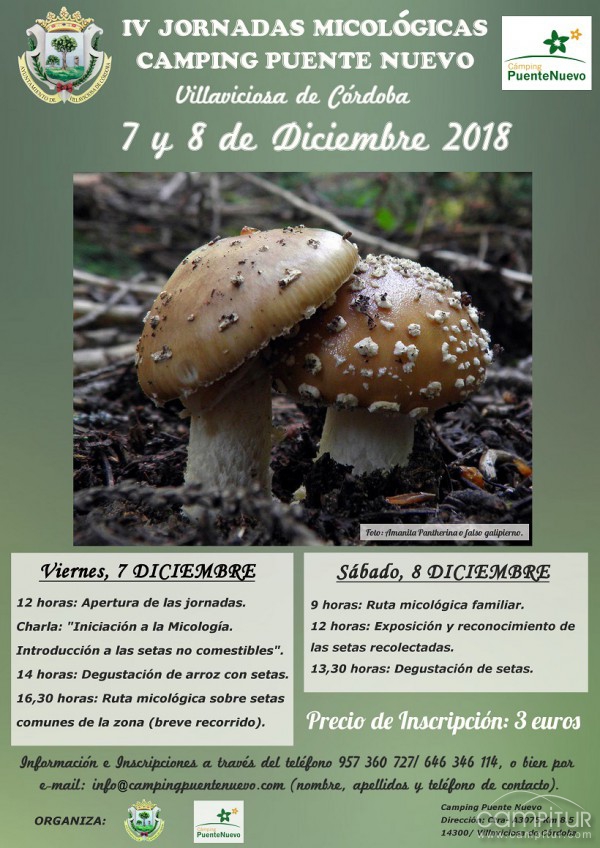 IV Jornadas Micológicas en Villaviciosa de Córdoba 