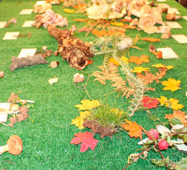 Gran afluencia de público en las Jornadas Micológicas Parque Natural Sierra Norte de Sevilla 