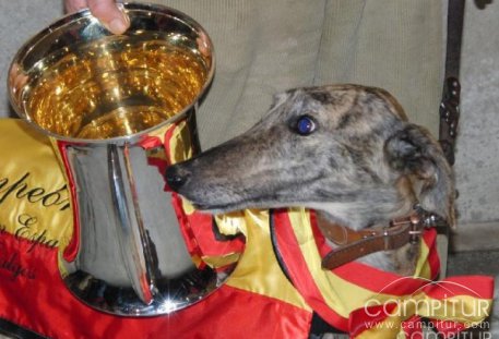 Exitosa clausura del LXXI Campeonato de España de Galgos en Azuaga