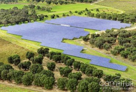 Ya están trabajando las primeras máquinas para la construcción de la fotovoltaica de Usagre 