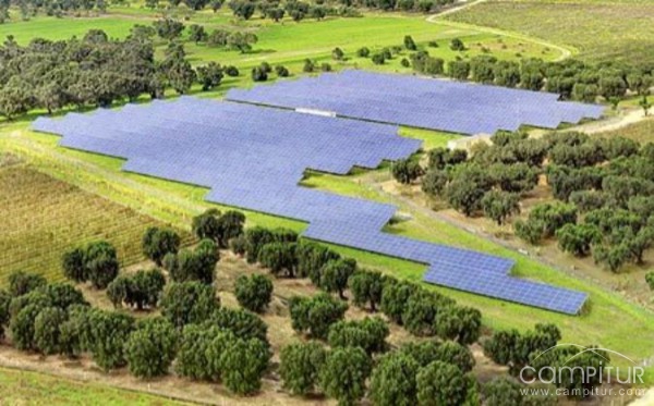 Ya están trabajando las primeras máquinas para la construcción de la fotovoltaica de Usagre 