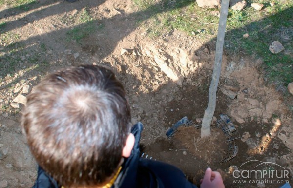 Molineros y Huertanos repiten la iniciativa “El árbol de tu vida” 