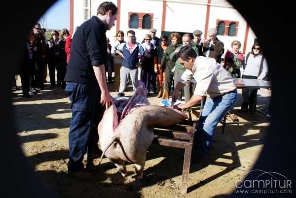 La Casa de Extremadura de Jerez de la Frontera visita Llerena 