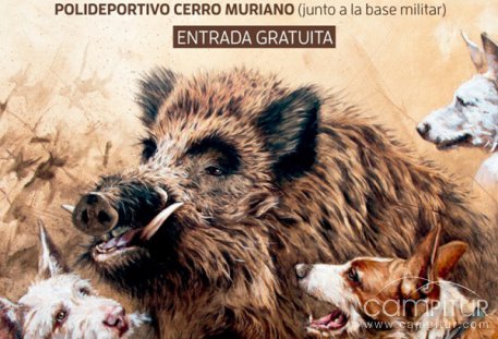 I Feria de la Montería en Cerro Muriano-Obejo 