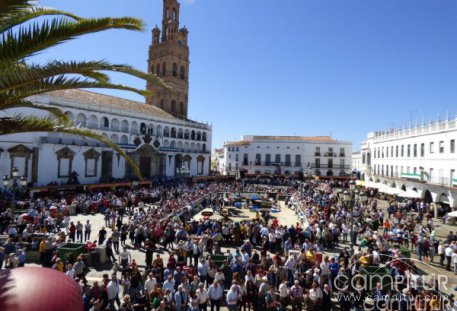 La XXV Matanza Tradicional de Llerena congrega a miles de personas 