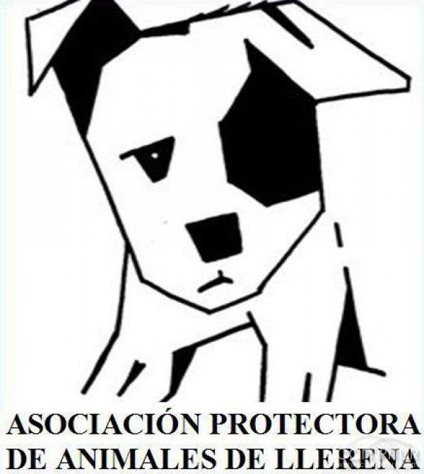 Mercadillo solidario en Berlanga 