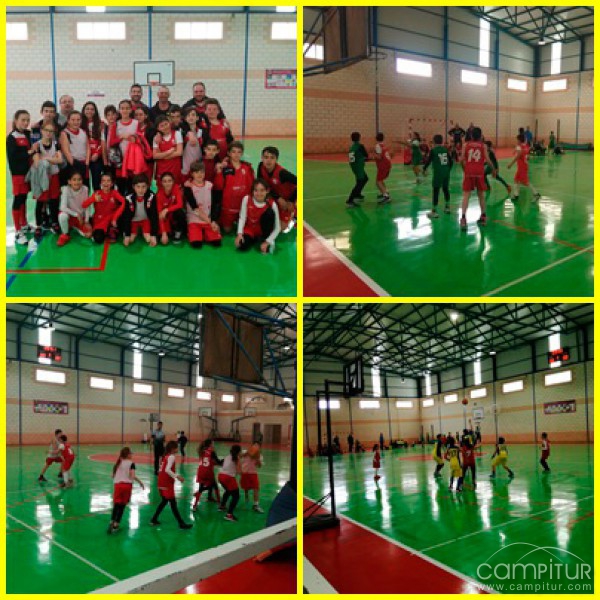 Concentración de Minibasket en Llerena 