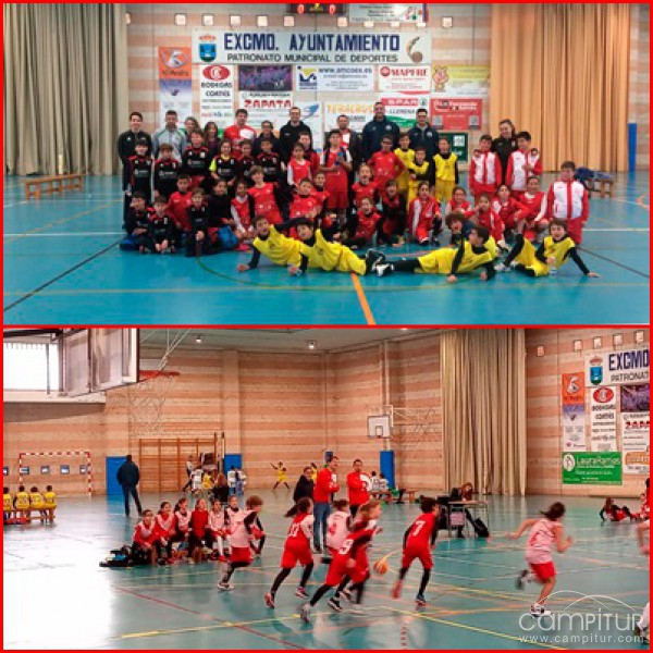 Celebrada con éxito la Concentración Mini Benjamín en Llerena