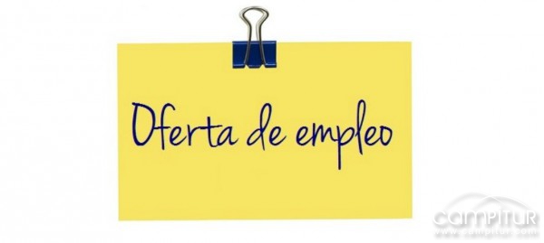 Próximas ofertas de empleo en el Ayuntamiento de Berlanga 