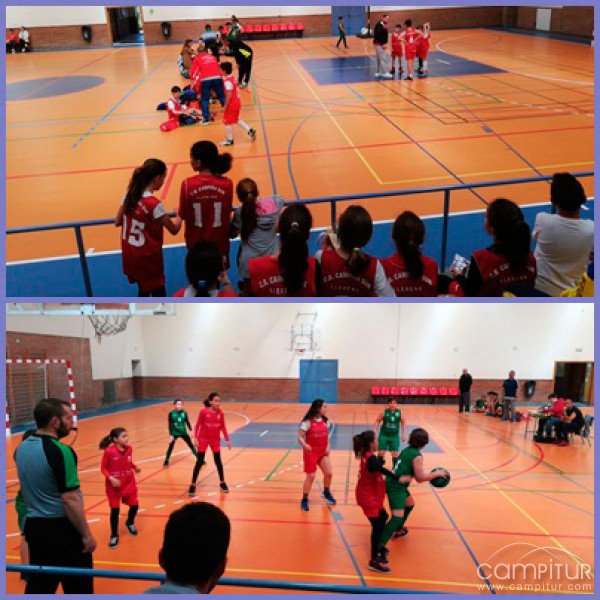 Concentraciones de Minibasket para los equipos alevines  