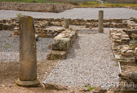 Programa Verano 2019 Casas de Reina 