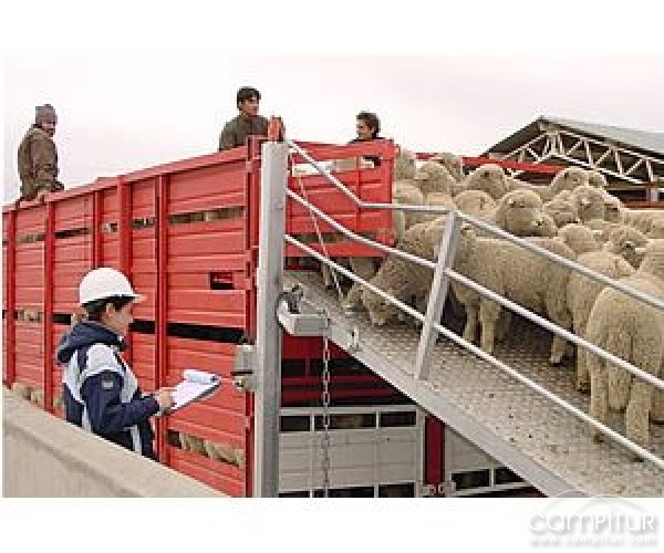 Azuaga y Llerena impartirán cursos de bienestar animal y de plaguicidas de uso agrario respectivamente 