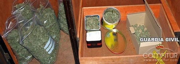 La Guardia Civil desmantela 2 plantaciones de marihuana en Azuaga 