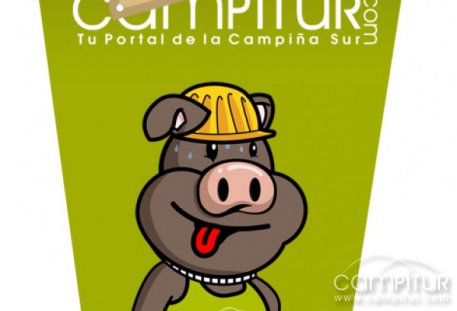 Campitur.com renovará su diseño web