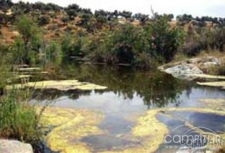 Inaugurada las obras de mejora medioambiental de la Ribera de Los Molinos en Llerena